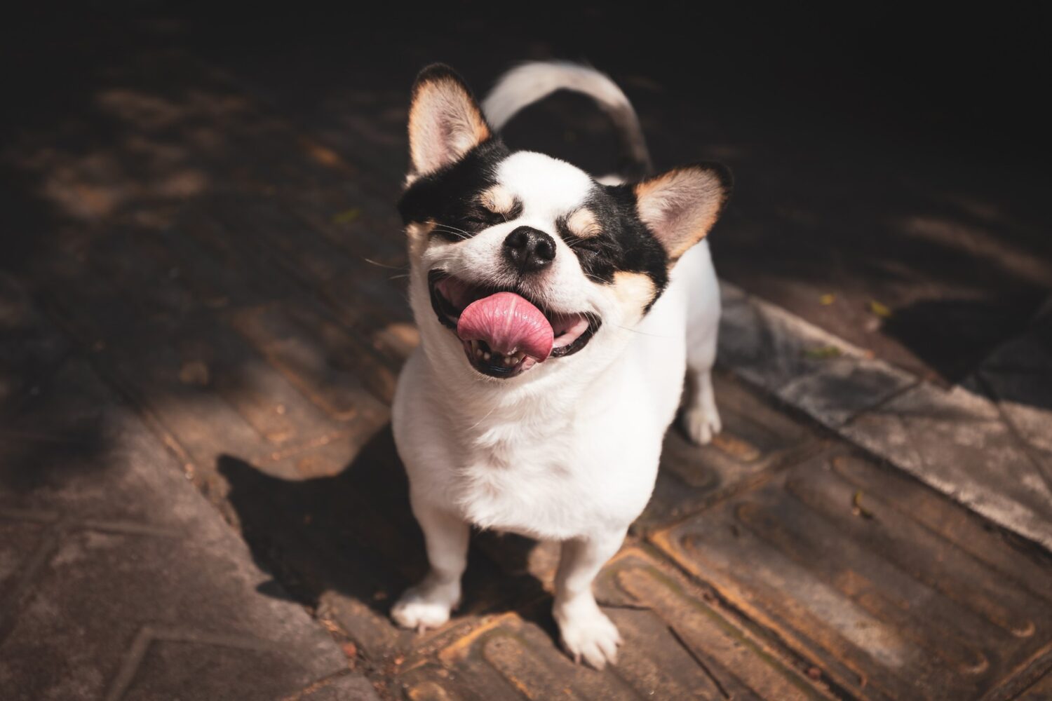 How to check your health according to your tongue by Good Health