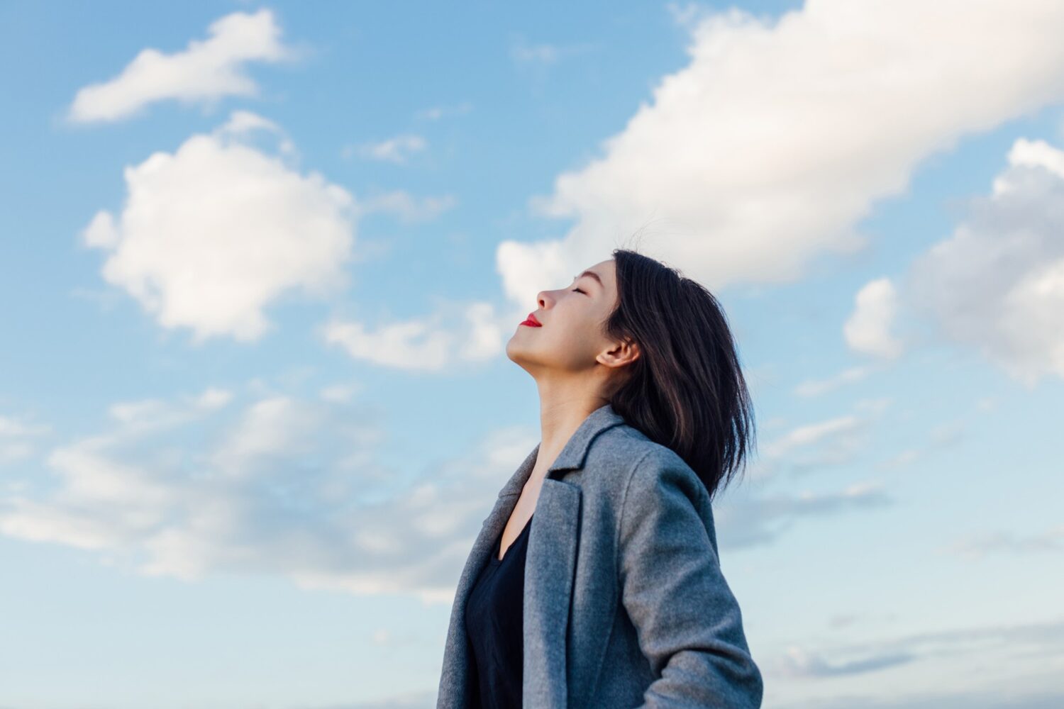 3 Natural Ingredients for Stress Support by Good Health